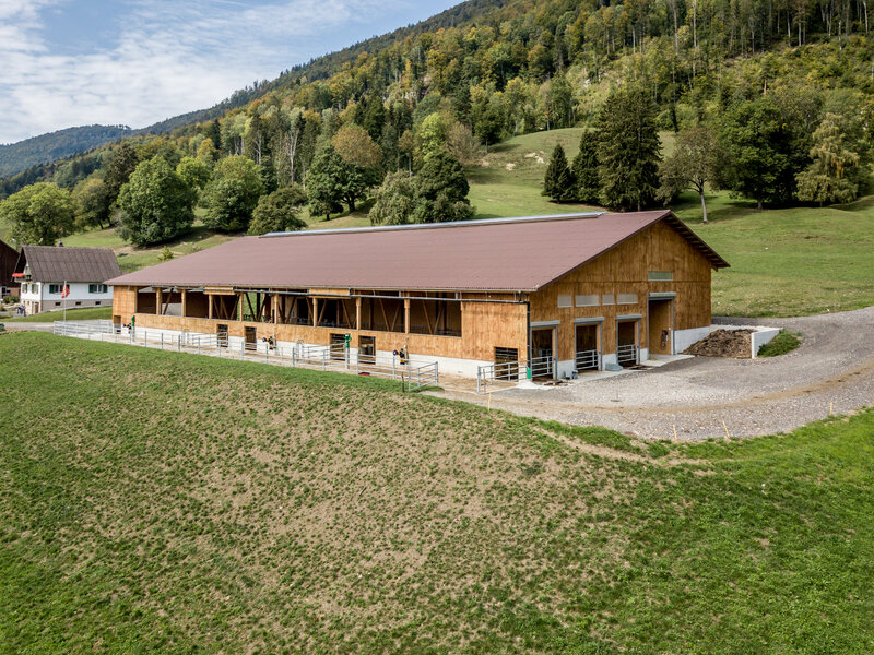 Landwirtschaft 
