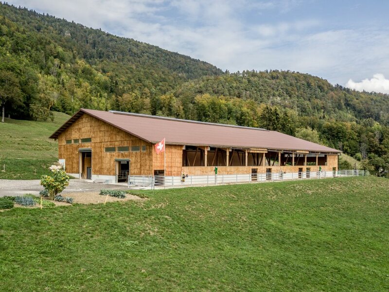 Landwirtschaft 