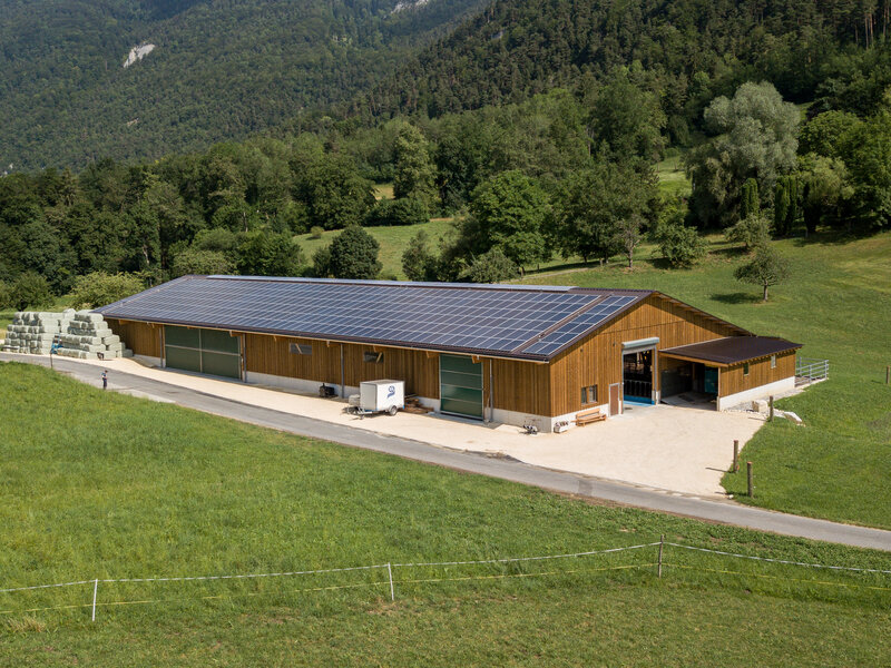 Landwirtschaft 
