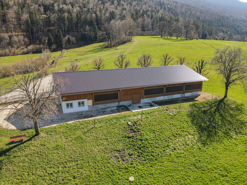Landwirtschaft 