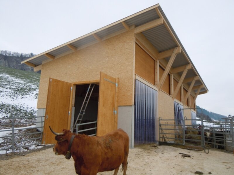 Landwirtschaft 
