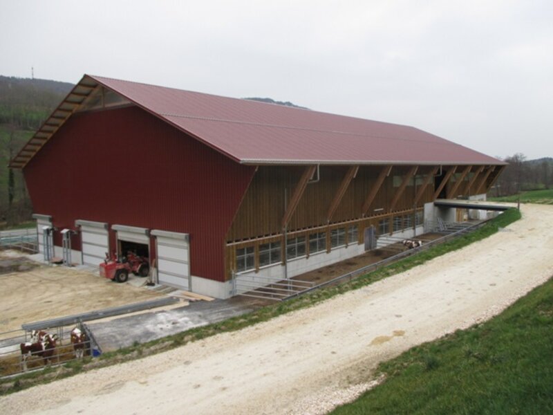 Landwirtschaft 