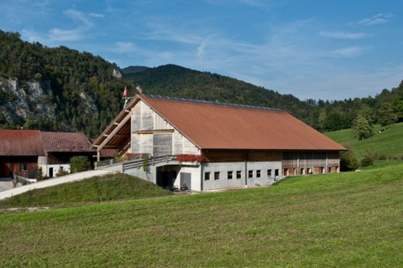 Landwirtschaft 